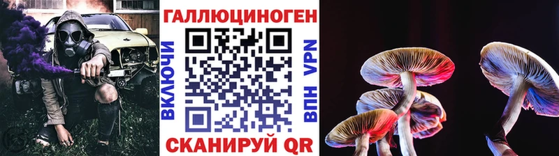 даркнет официальный сайт  Бавлы  Псилоцибиновые грибы GOLDEN TEACHER 